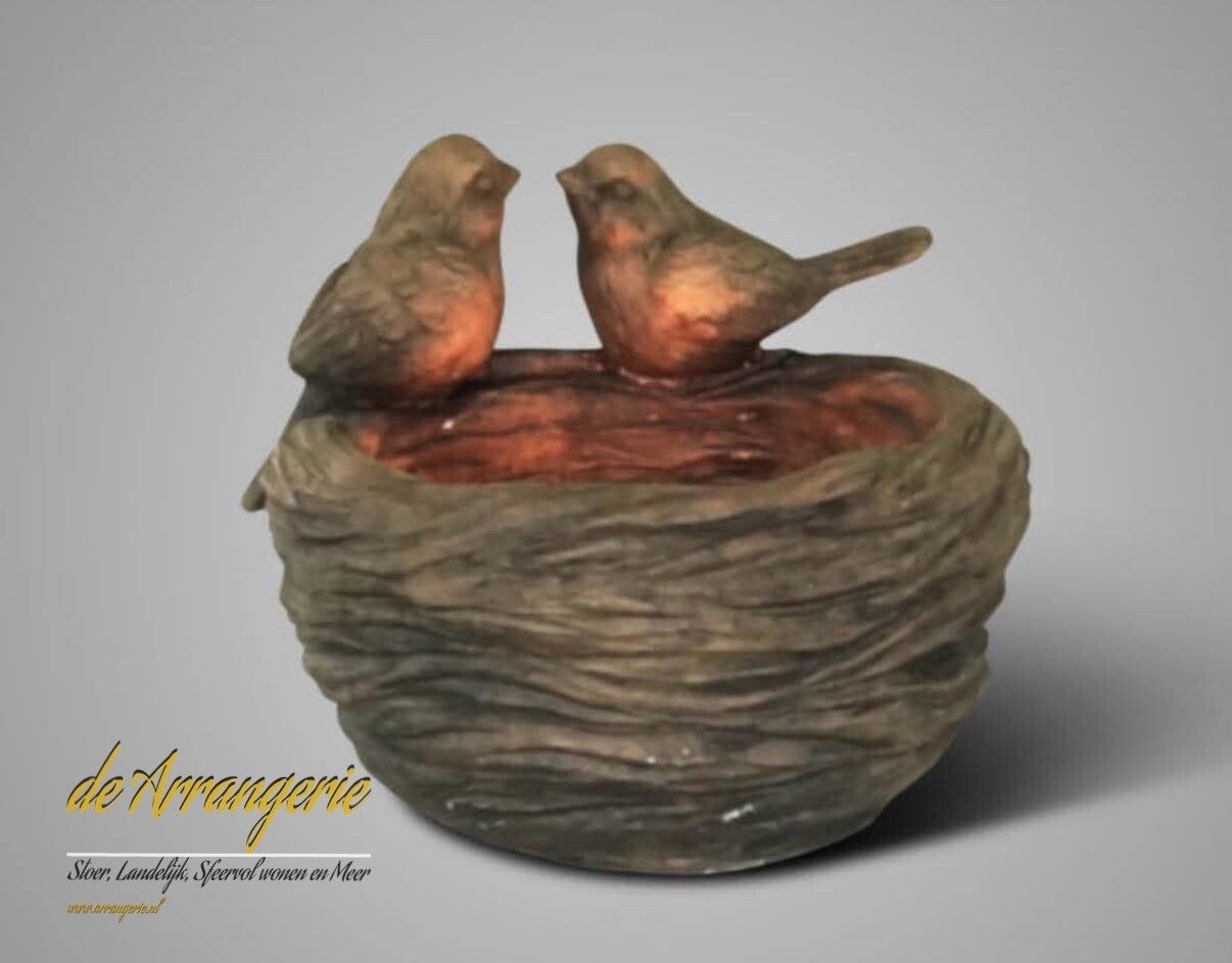 BRYNXZ 2 vogels op nest