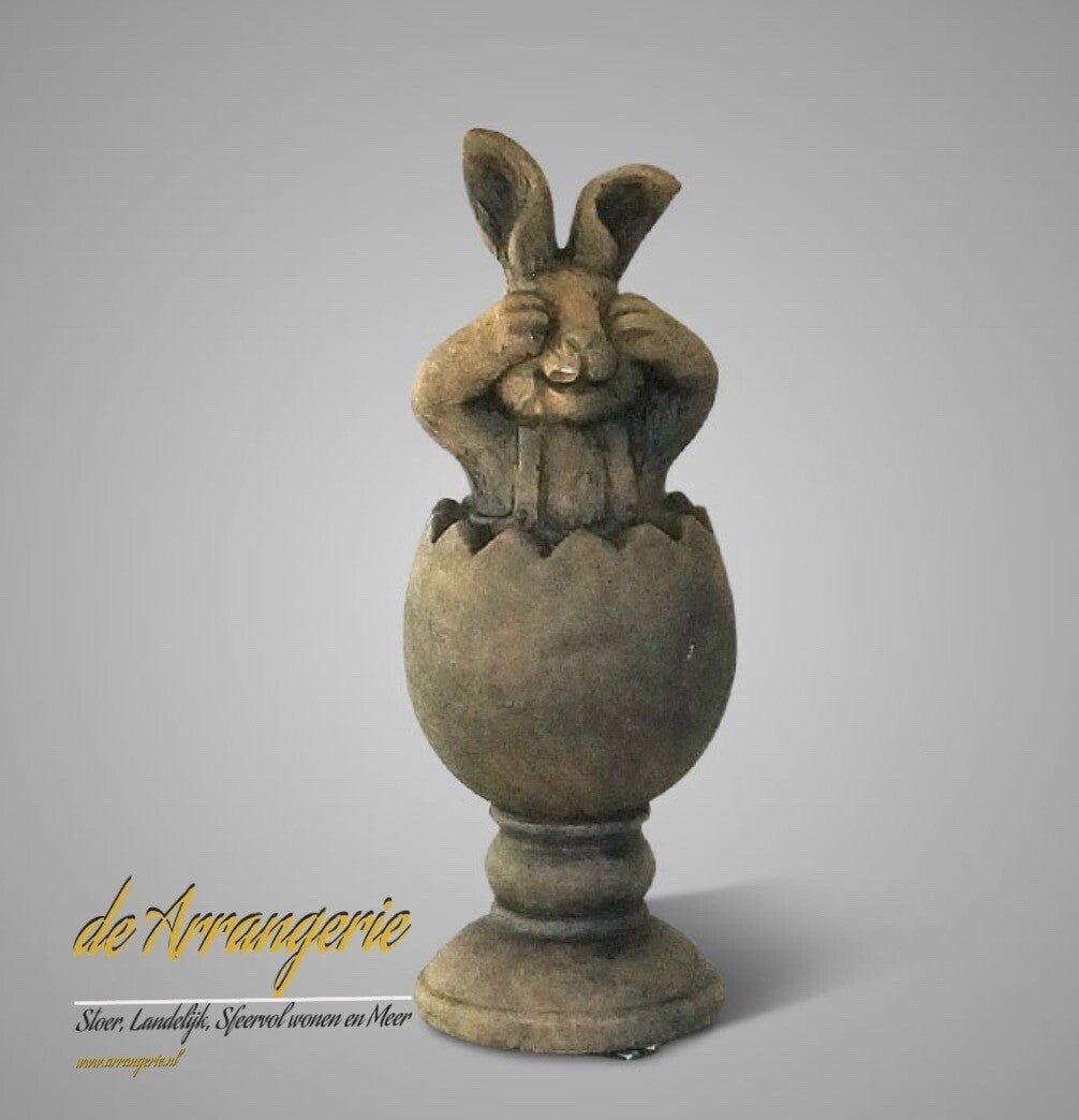 BRYNXZ surprise ei met haas - Maj brown