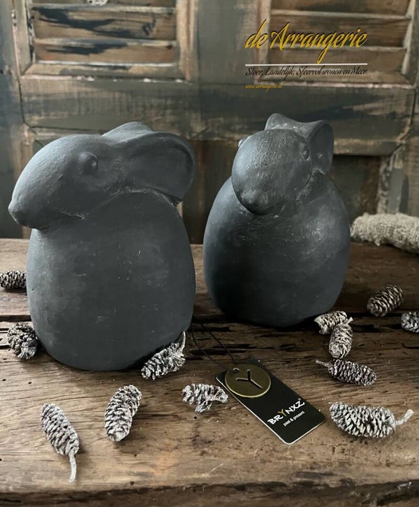 Brynxz haas, ancient soil