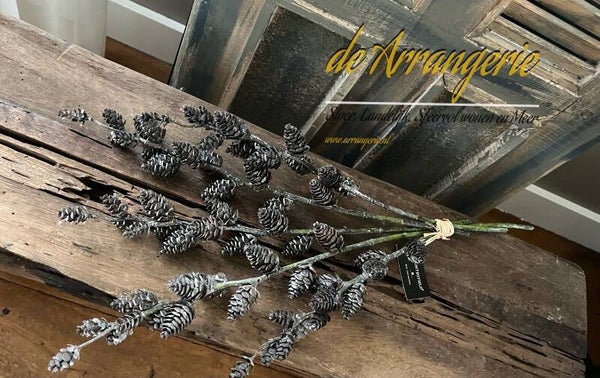 Bosje takken (5)  met dennenappeltjes