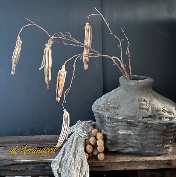 Okra , sobere lange tak 110cm