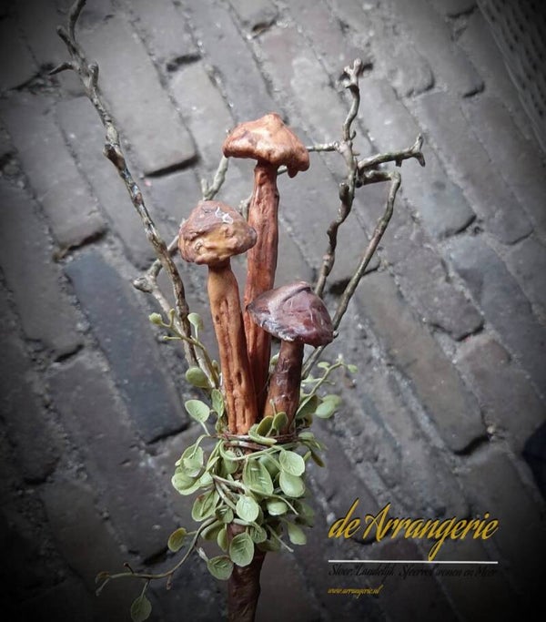 Paddenstoeltjes op tak