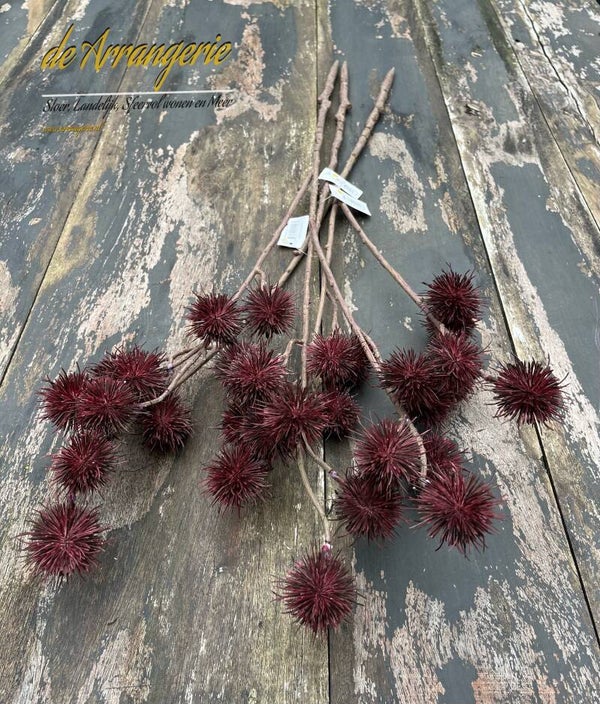 Tak tamme kastanje - burgundy