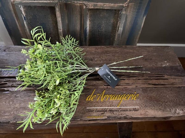 Bosjes takjes groen (leuk in boeket)