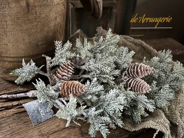 BRYNXZ Thuja tak met dennenappeltjes
