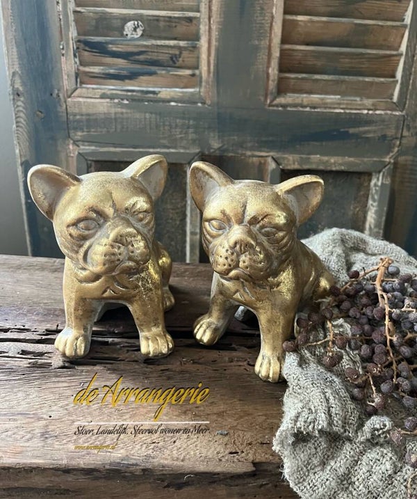 Bulldogje zittend