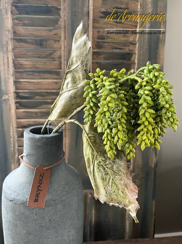 BRYNXZ erwtentak/tros  aan lange tak