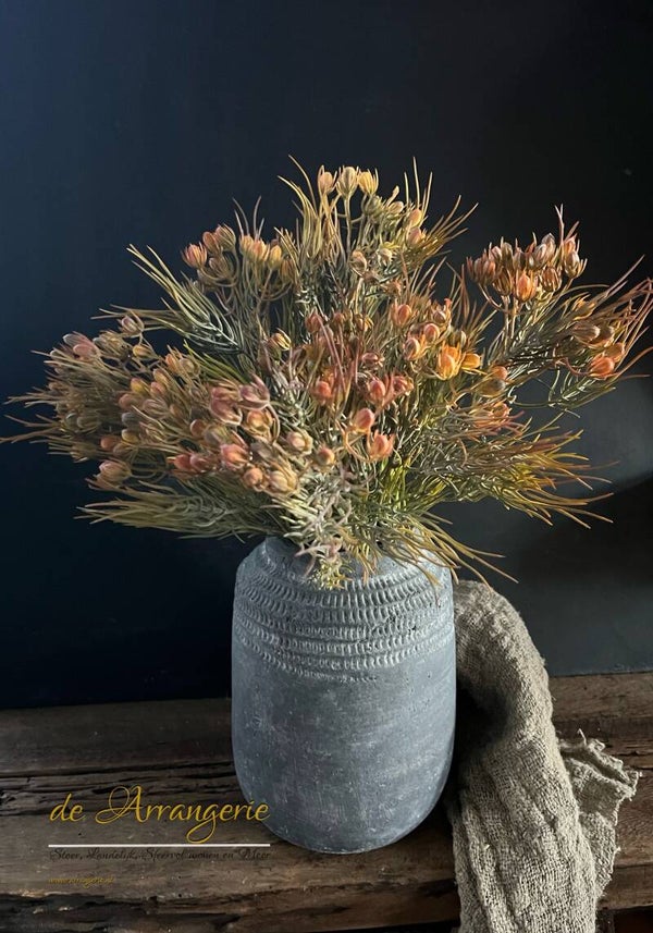 Brynxz  Protea bush mini 41cm