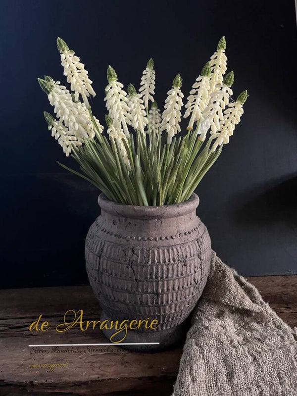 Boeket witte druifjes met kruikvaas - set