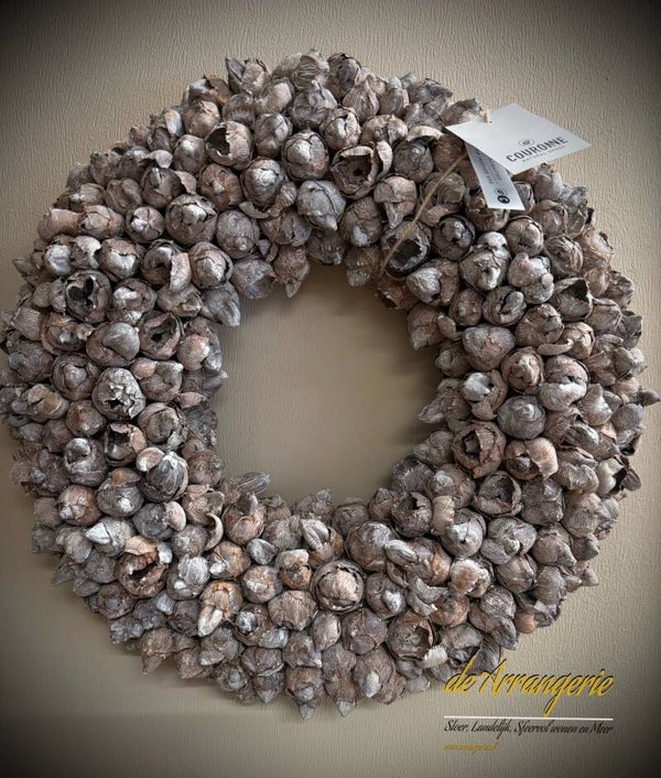 Coco fruit krans 40cm - Couronne