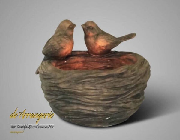 BRYNXZ 2 vogels op nest