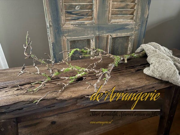 Grote dikke bemoste tak (kunst)