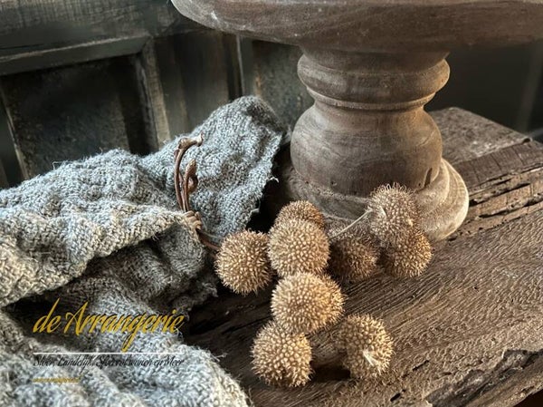 Plataanbolletjes bosje