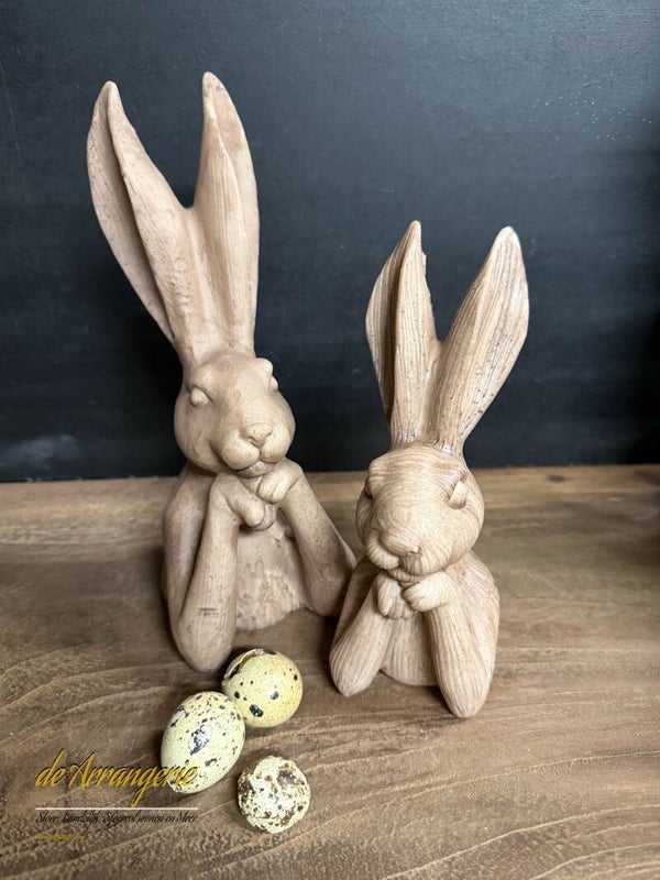 Haasje zen op pootjes in 2 maten