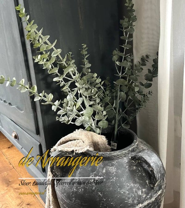 Eucalyptus tak 90/95cm