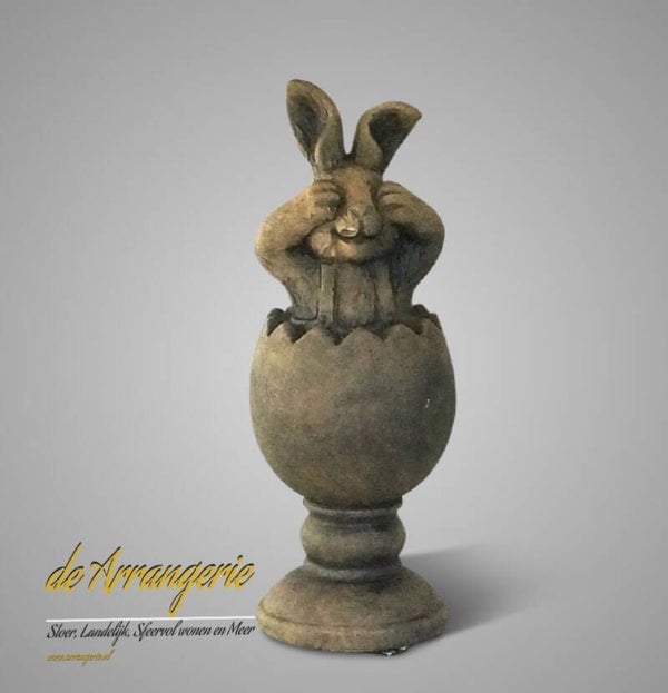 BRYNXZ surprise ei met haas - Maj brown