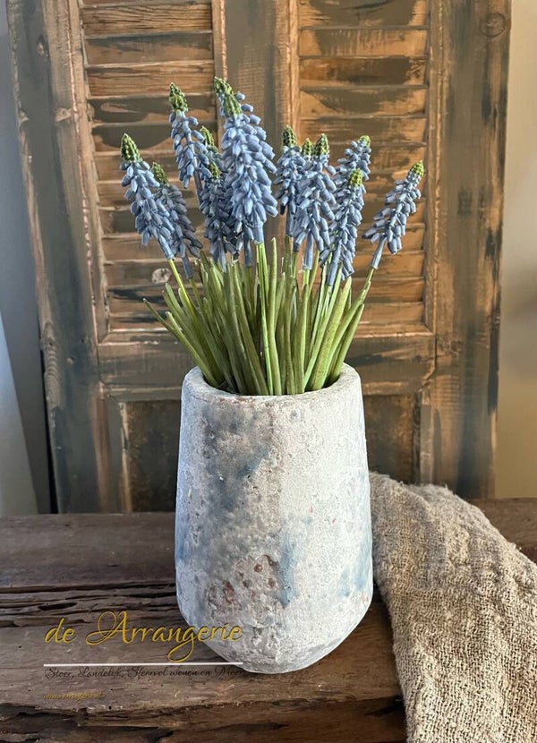 Vaas met 15 blauwe druifjes