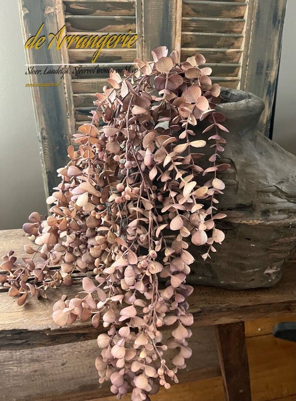 Eucalyptus hangend - bronsbruin - 95cm