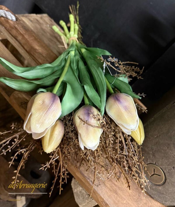 Bosje tulpen, 5 stelen, 30cm, paars creme