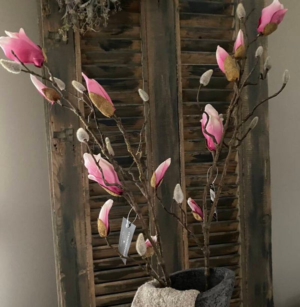 Magnolia, roze in knop, 92cm