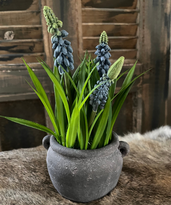 Aardewerken potje met blauwe druifjes