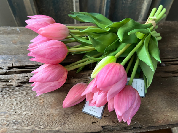 Mini tulpen, 5 stelen, 25cm -  pink