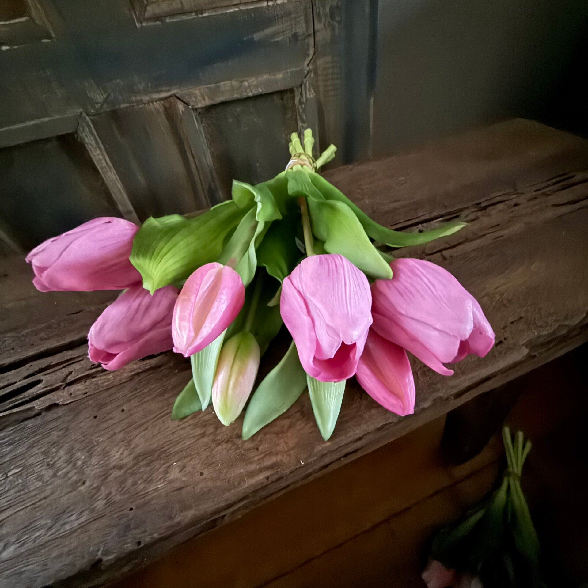 Tulpen, 7 stelen, 30cm, beauty pink