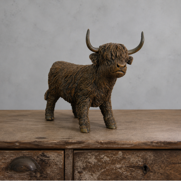 Staande hooglander maat M