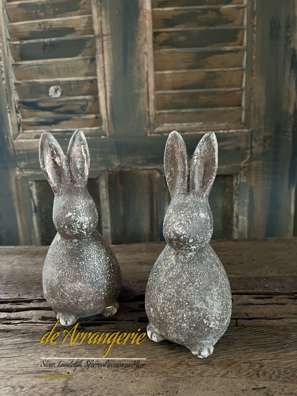 Haas in sobere bruin tint