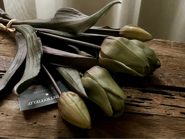 Tulpen, 45cm, 5 stelen, dark olive
