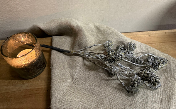 Takje met kleine dennenappeltjes