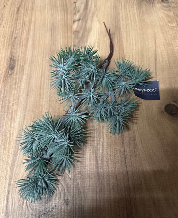 Brynxz ceder toef/takje