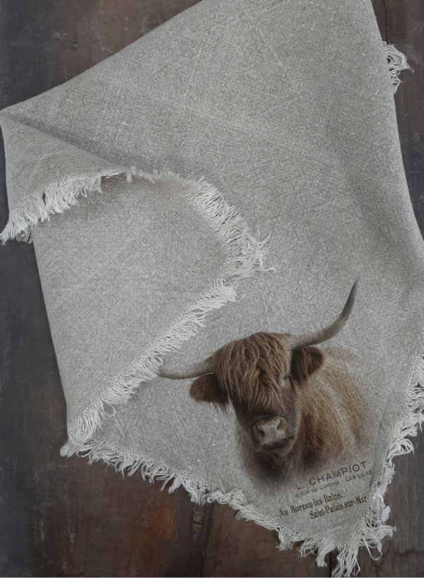 NEW Shabby doek hooglander 45x45cm gekleurd