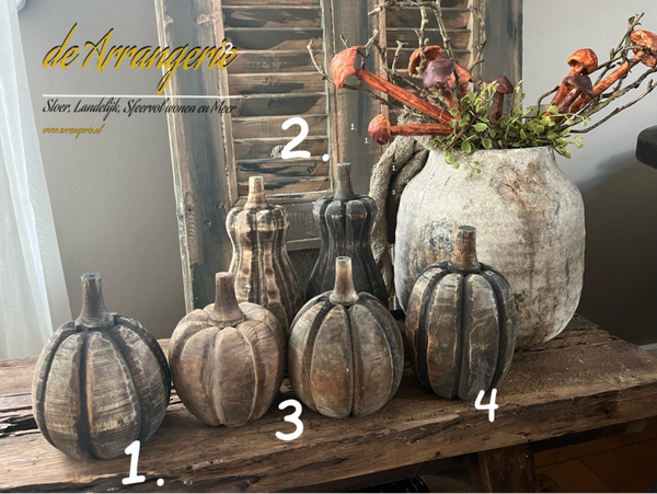Kleine houten pompoenen 5 soorten