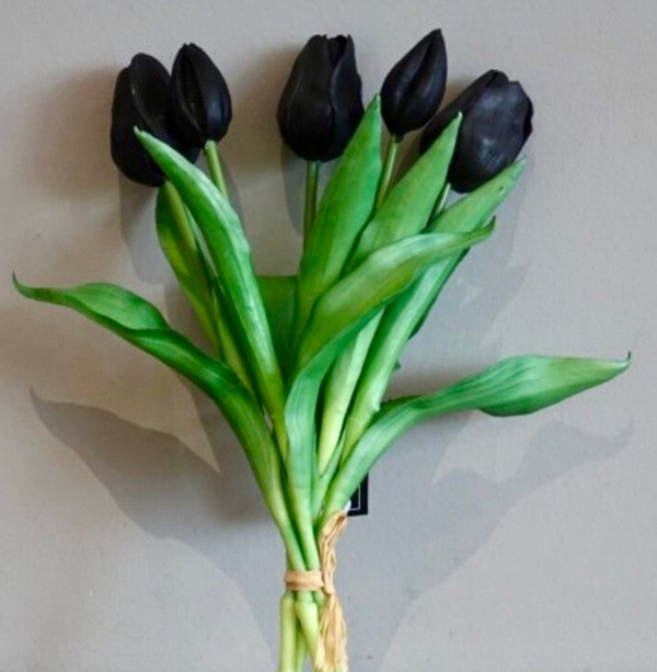 Tulpen, 30cm, 5 stelen zwart