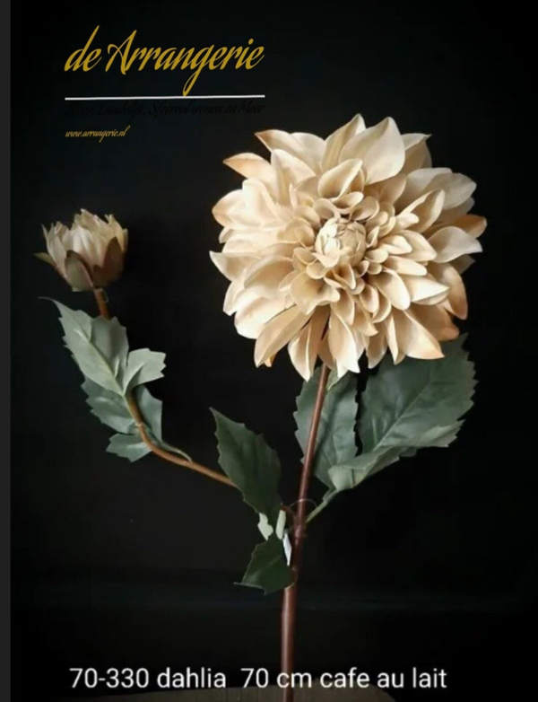 Dahlia crème  70cm