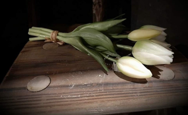 Mini tulpen, 3 stelen, 25 cm, wit