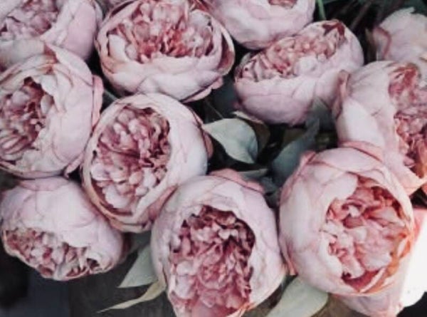 Zijden Pioenroos antique roze