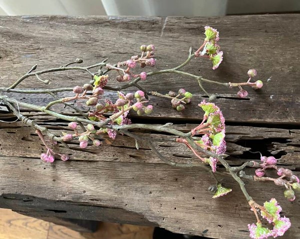 Tak - Prunus - soft/old pink