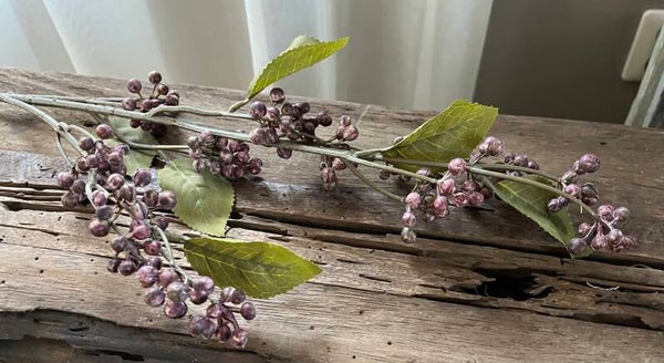 Tak - Dewberry/ Dauwbraam- old purple