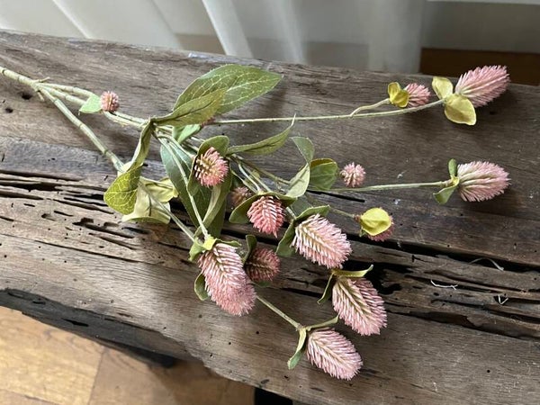 Tak Gomphrena/amarant old pink