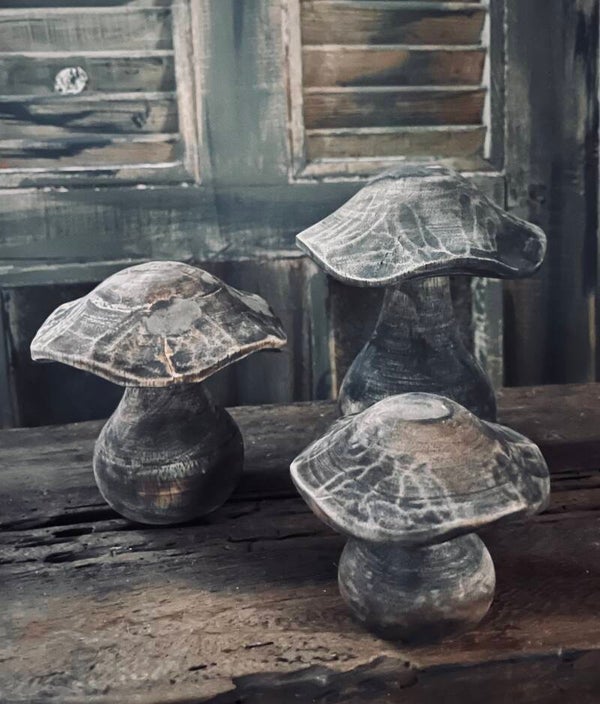Paddestoelen, hout, gegolfd in 3 maten