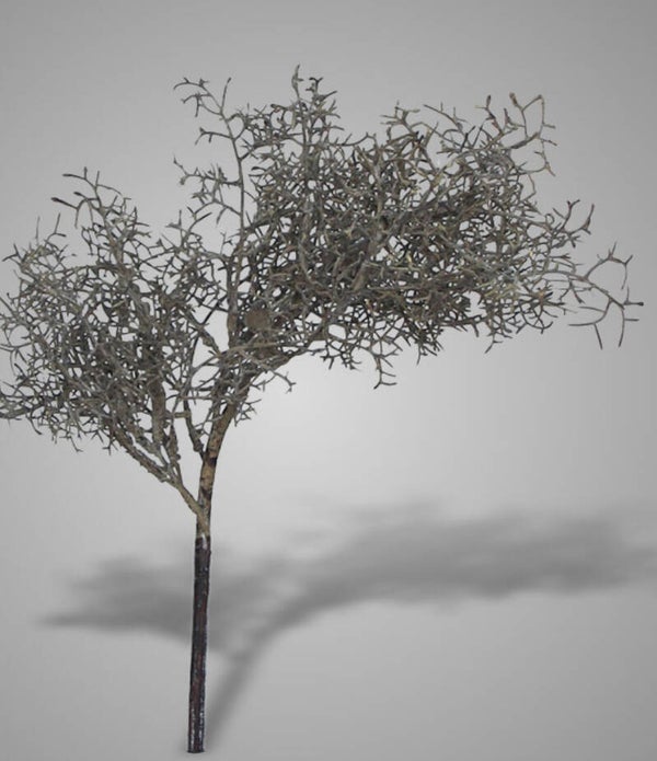 Brynxz Sobere tak 42cm