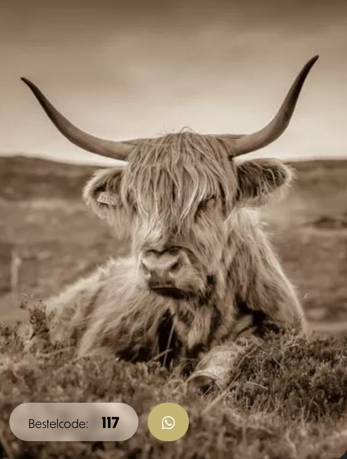 Wanddoek 30x40 hooglander nr 117