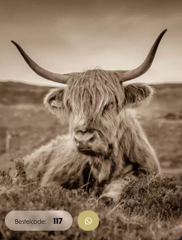 Wanddoek 30x40 hooglander nr 117