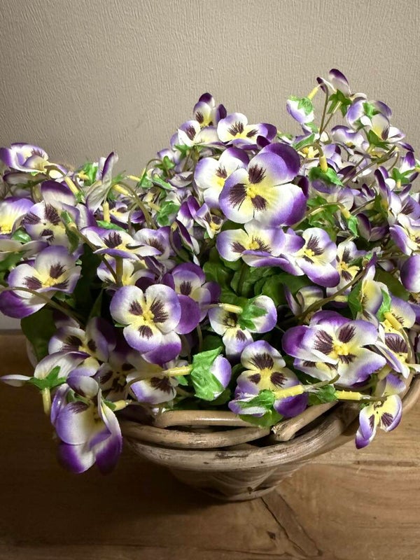 Viooltjes paars/creme