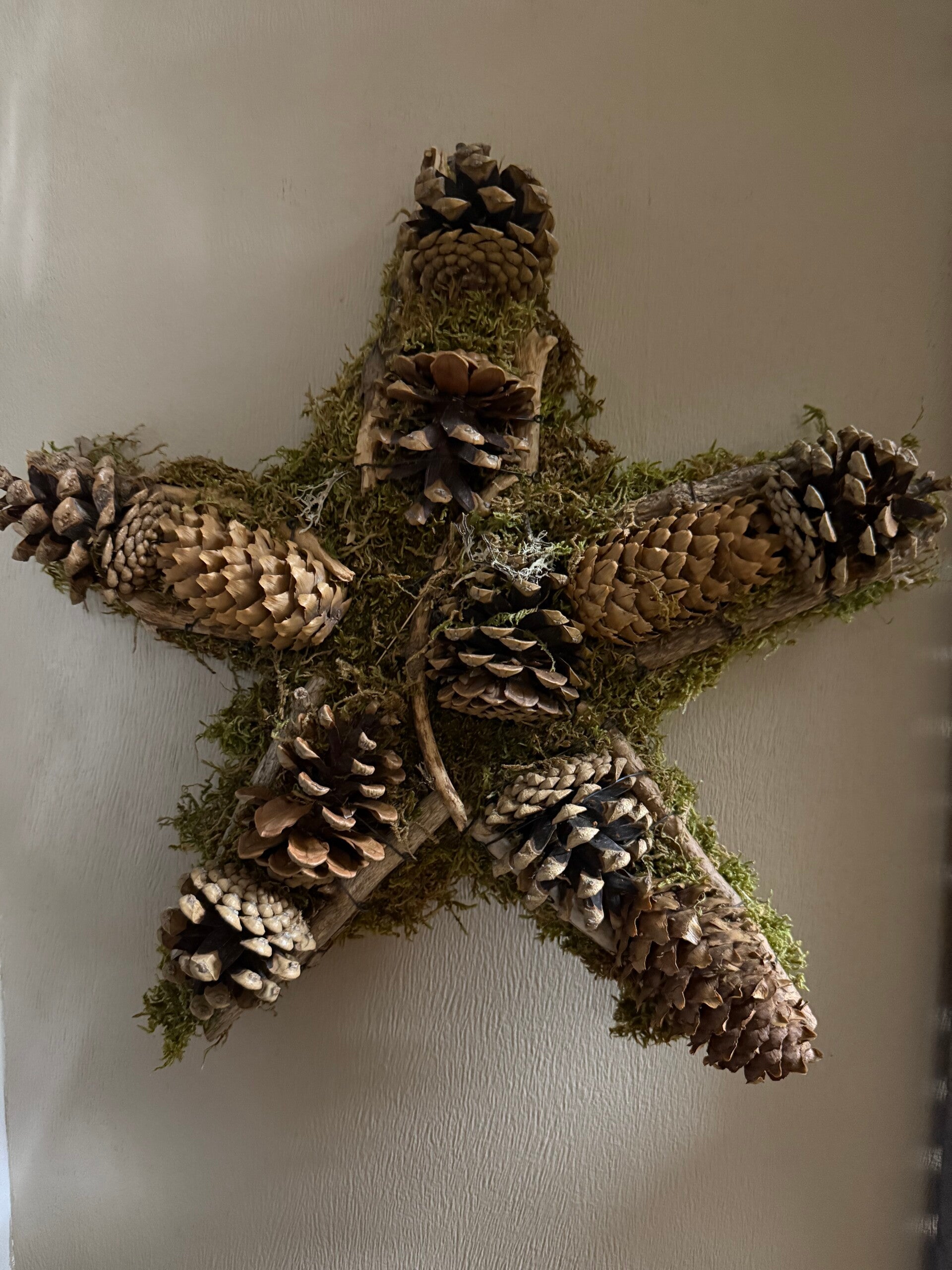 Mos Ster met dennenappels