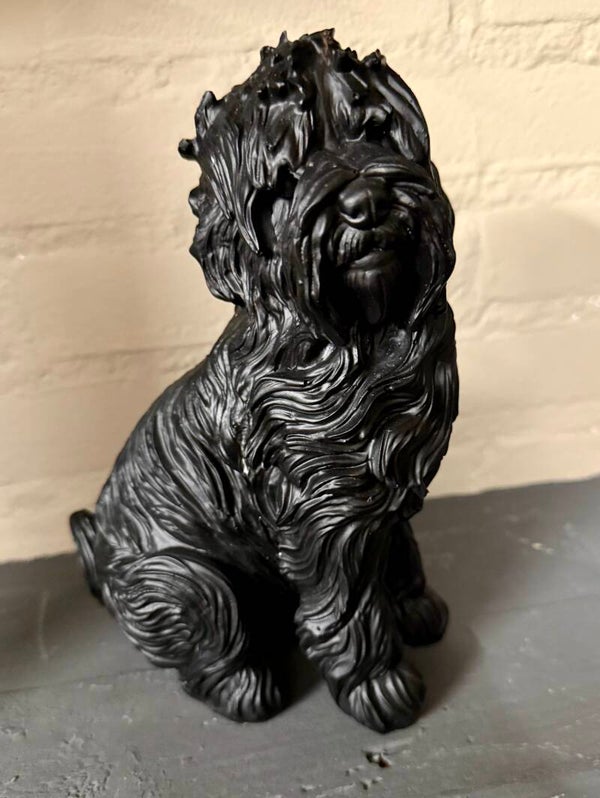 Zwarte labradoodle 23cm hoog