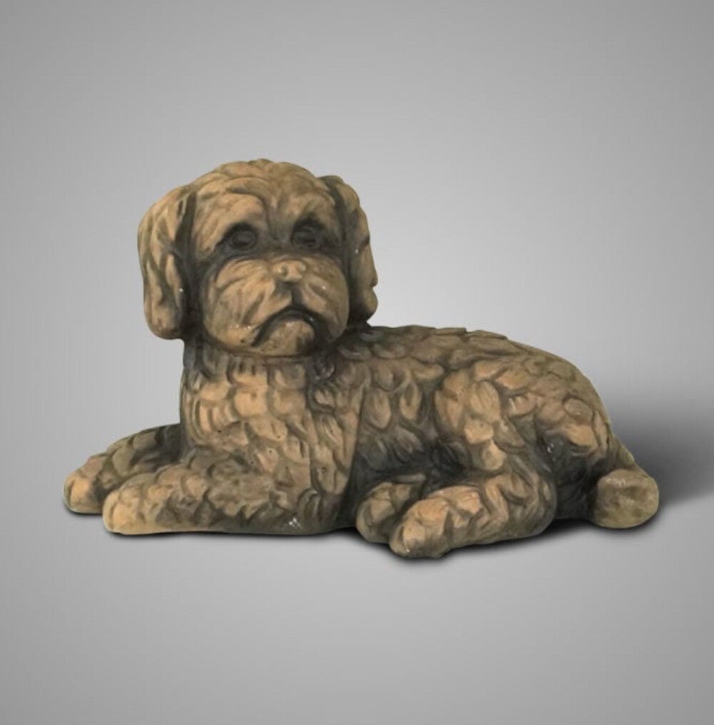 Brynxz lying dog - Majestic Brown