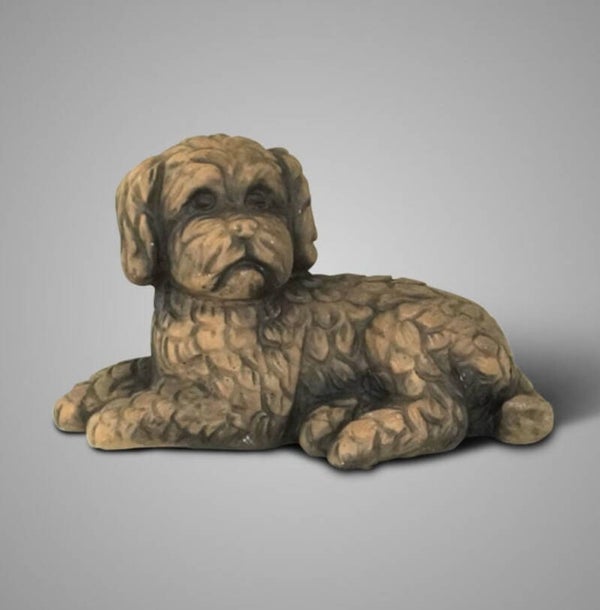 Brynxz lying dog - Majestic Brown